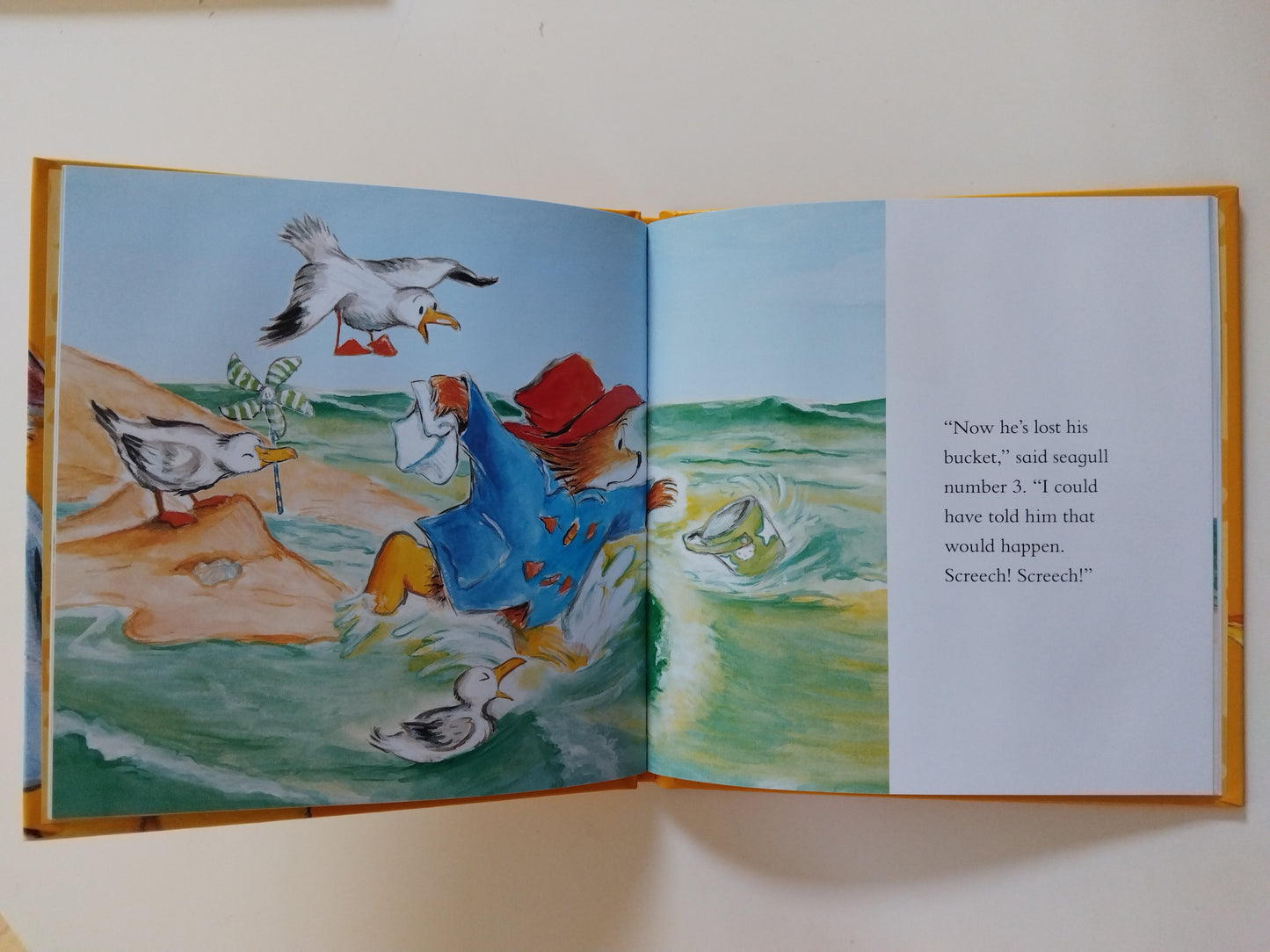 Paddington King of the Castle