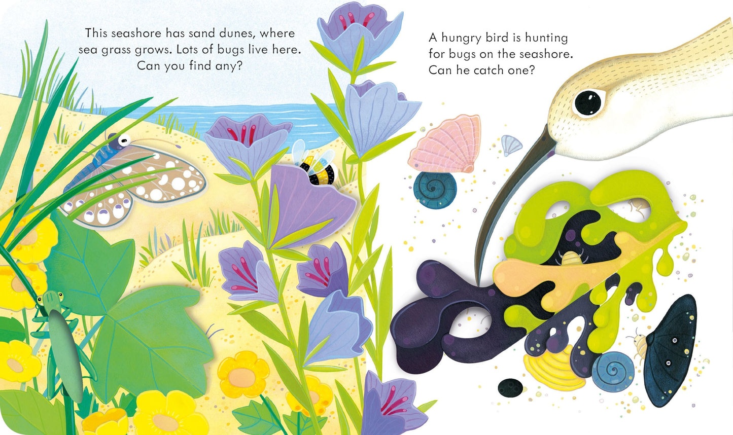 Peep inside the seashore