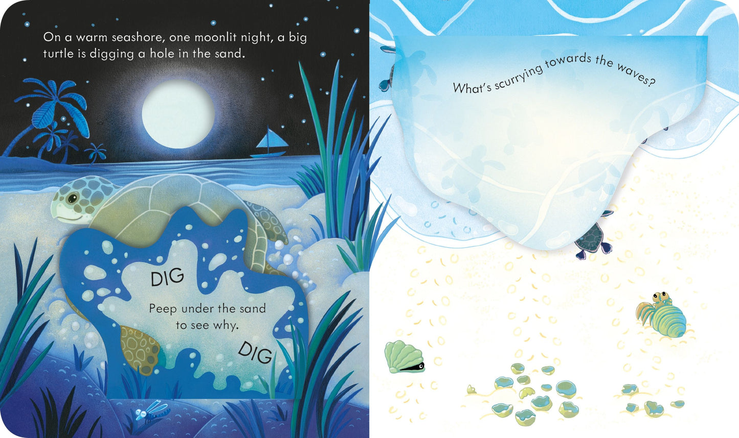 Peep inside the seashore