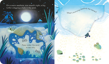 Peep inside the seashore