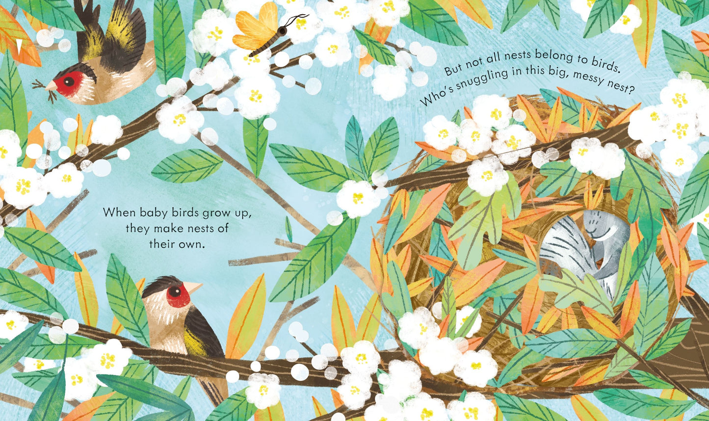 Peep inside a bird's nest