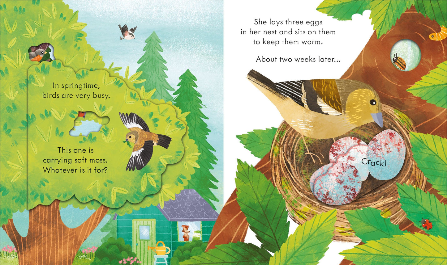 Peep inside springtime