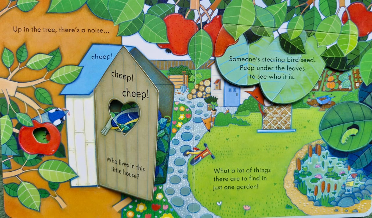 Peep inside the garden