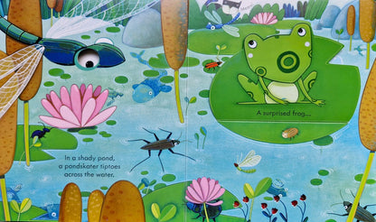 Peep inside the garden