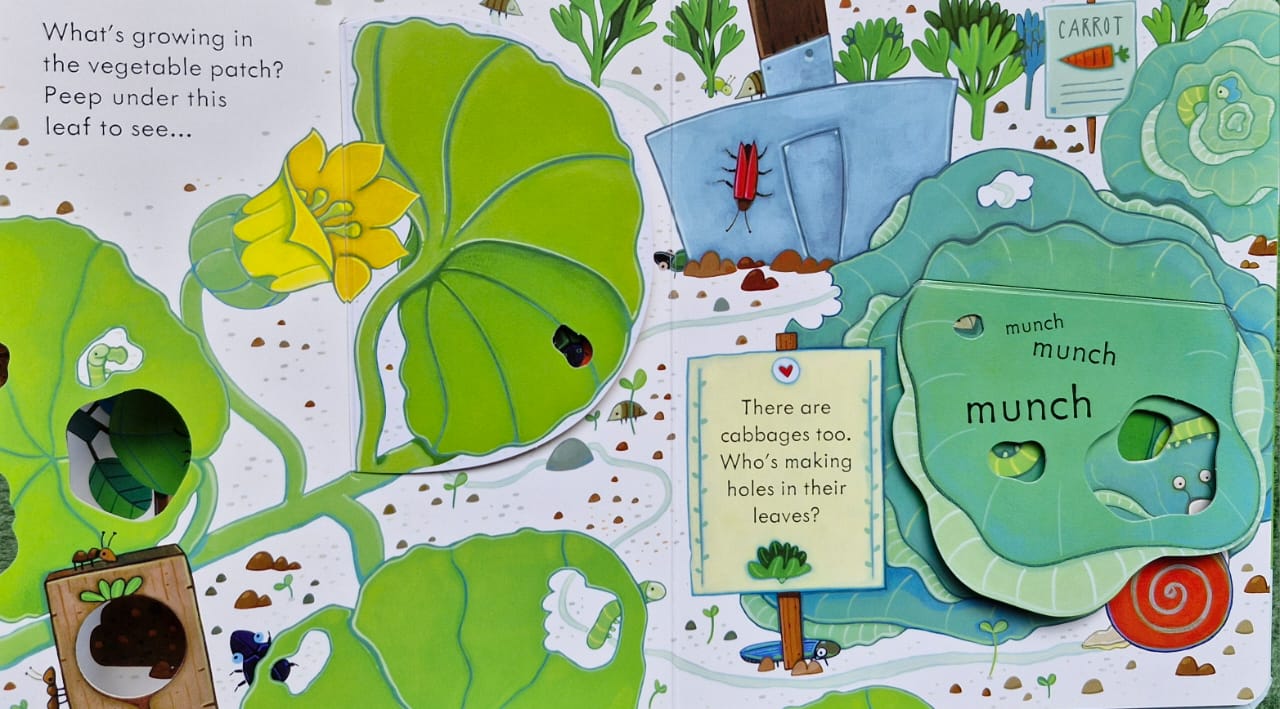 Peep inside the garden