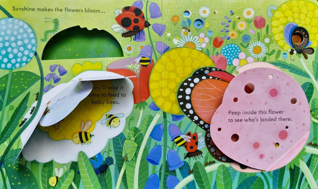 Peep inside the garden