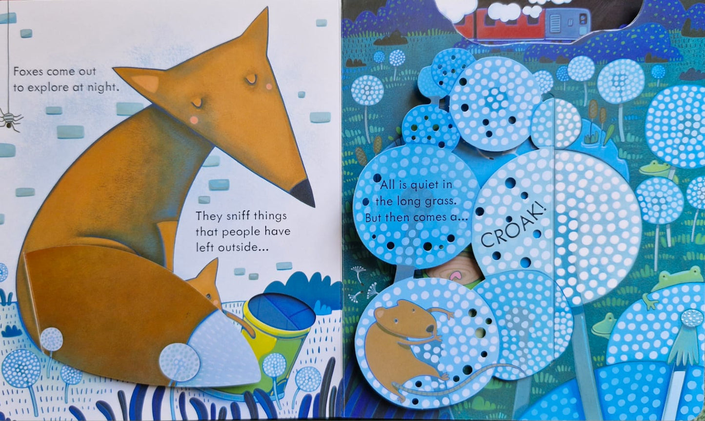 Peep inside night time