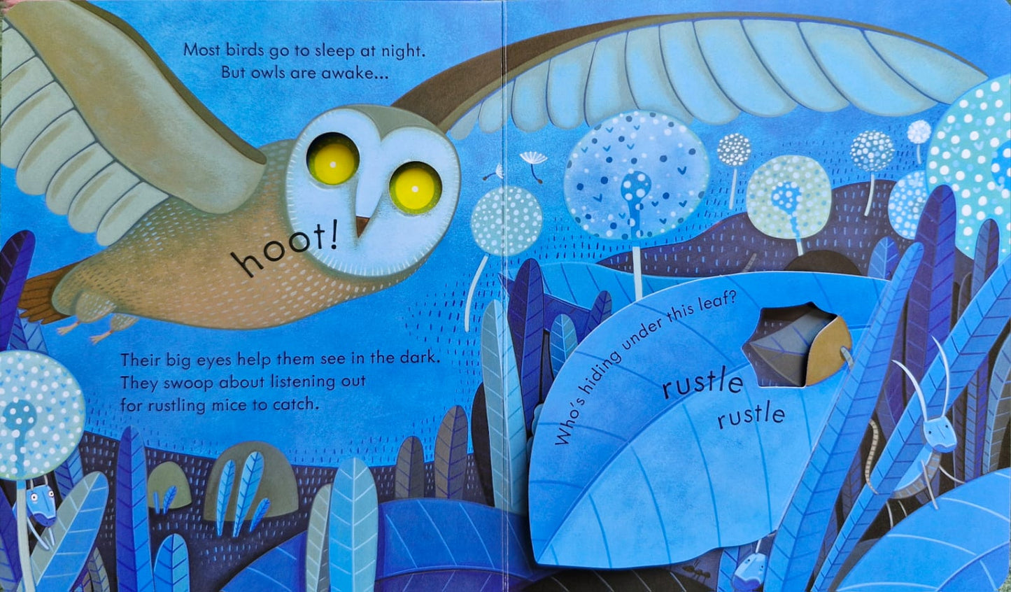 Peep inside night time