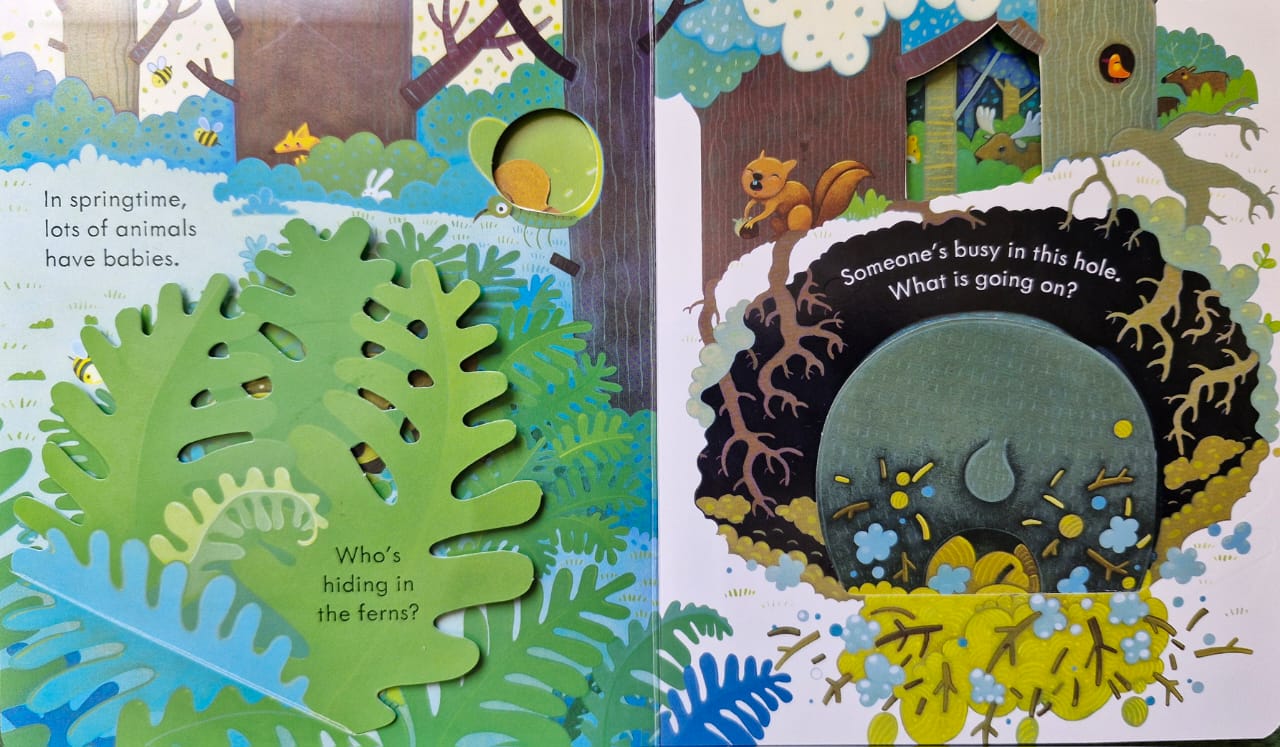 Peep inside the forest