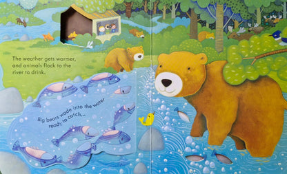 Peep inside the forest