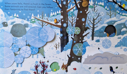 Peep inside the forest