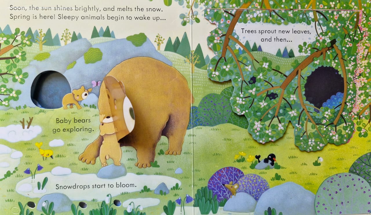 Peep inside the forest