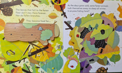 Peep inside the forest