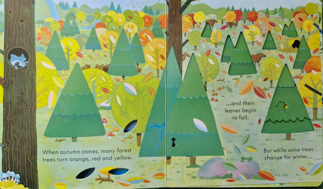 Peep inside the forest