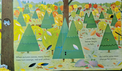 Peep inside the forest