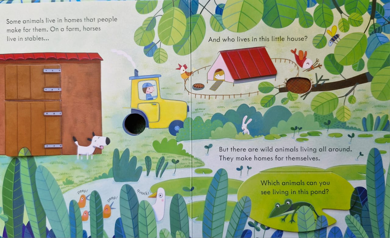 Peep inside animal homes