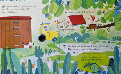 Peep inside animal homes