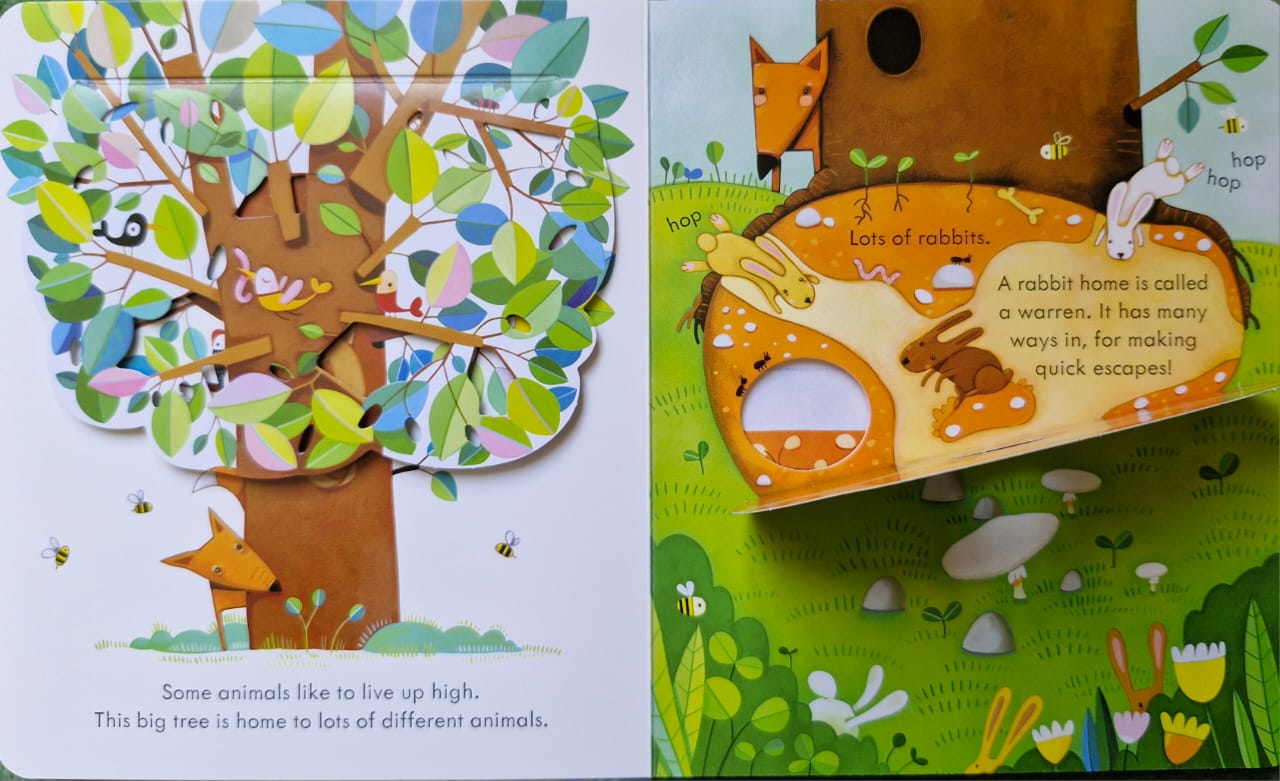 Peep inside animal homes