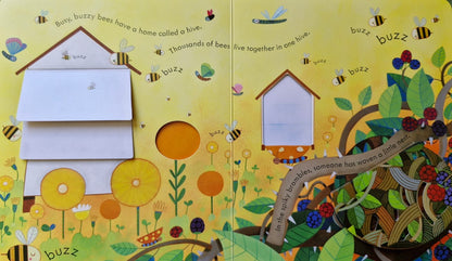 Peep inside animal homes