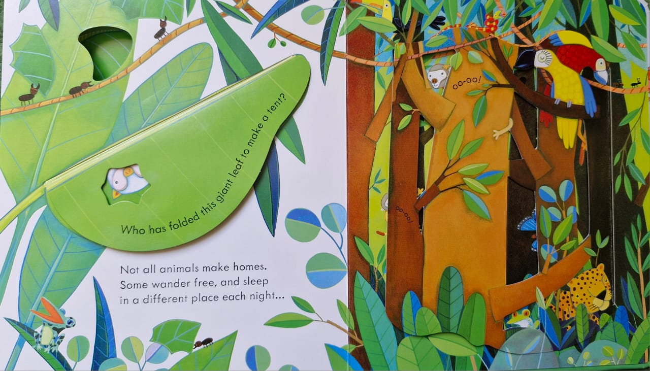 Peep inside animal homes