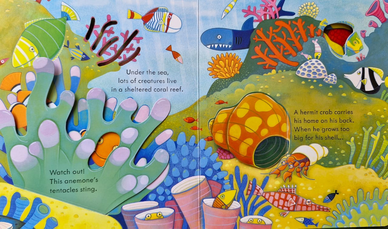 Peep inside animal homes