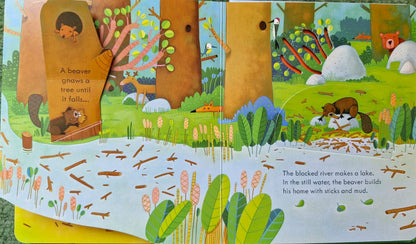 Peep inside animal homes