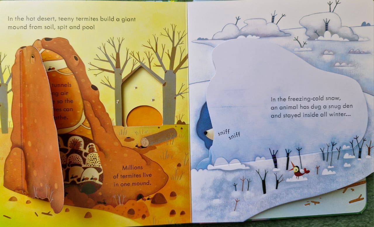 Peep inside animal homes