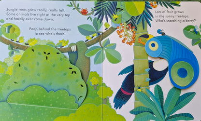 Peep inside the Jungle