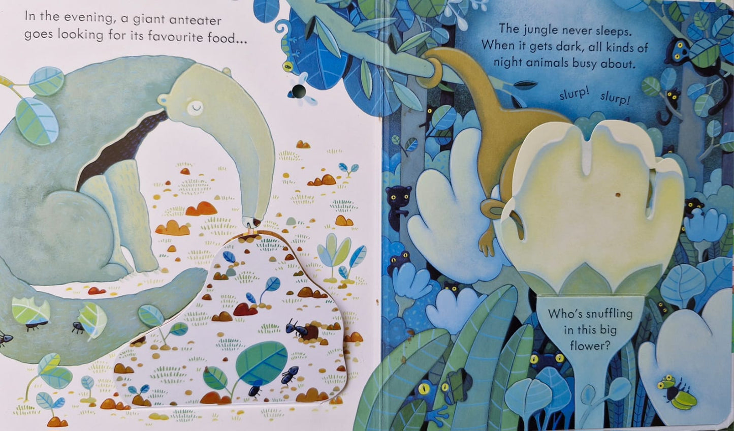 Peep inside the Jungle