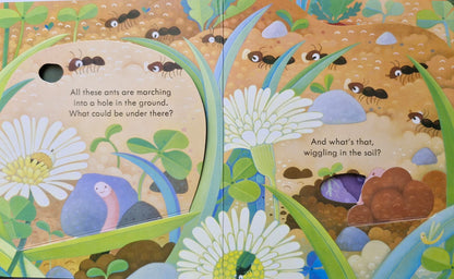 Peep inside under the ground