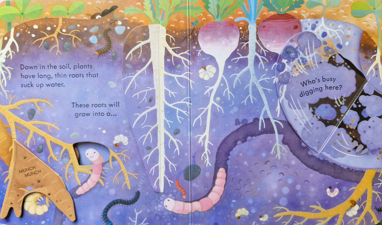 Peep inside under the ground