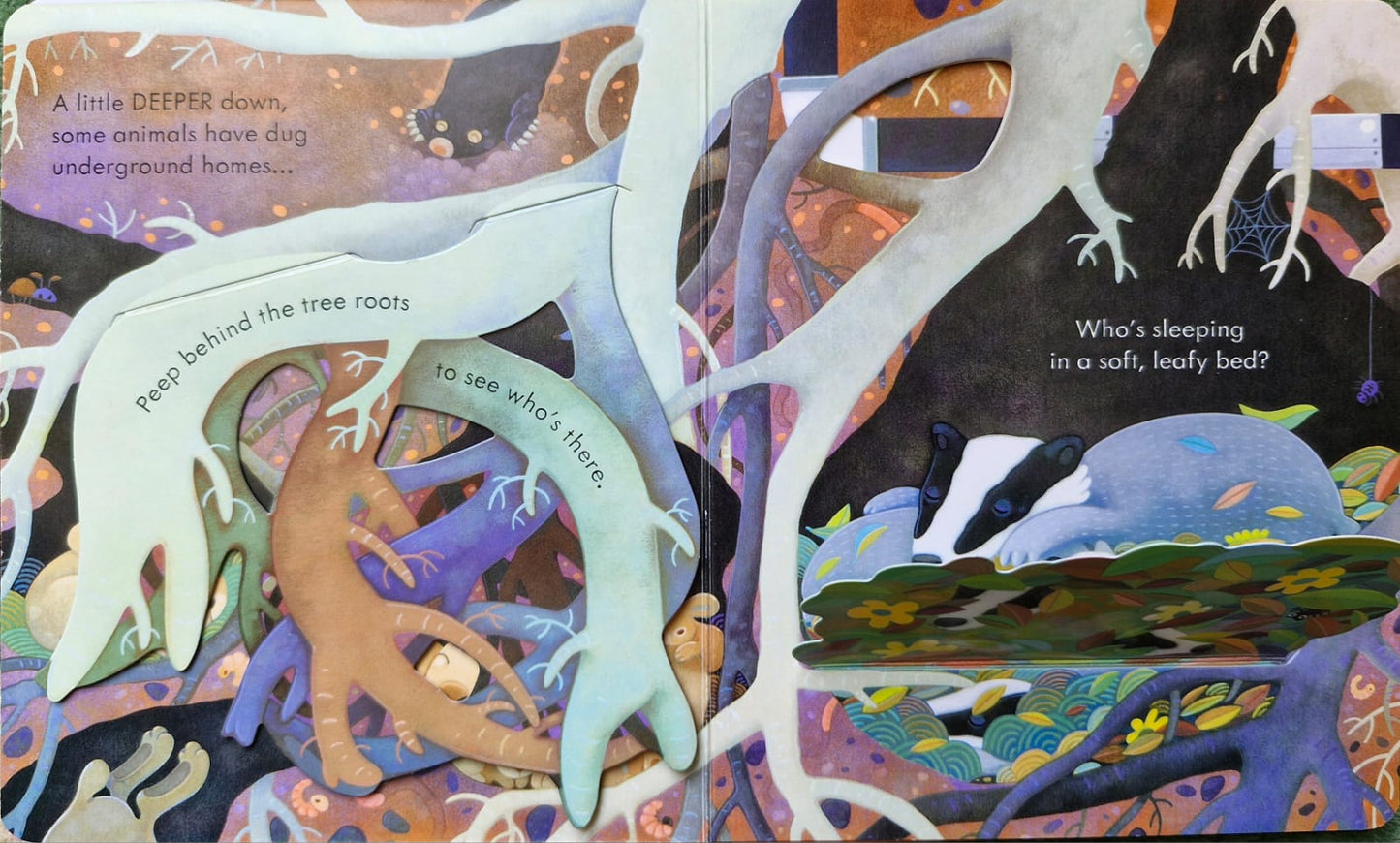 Peep inside under the ground