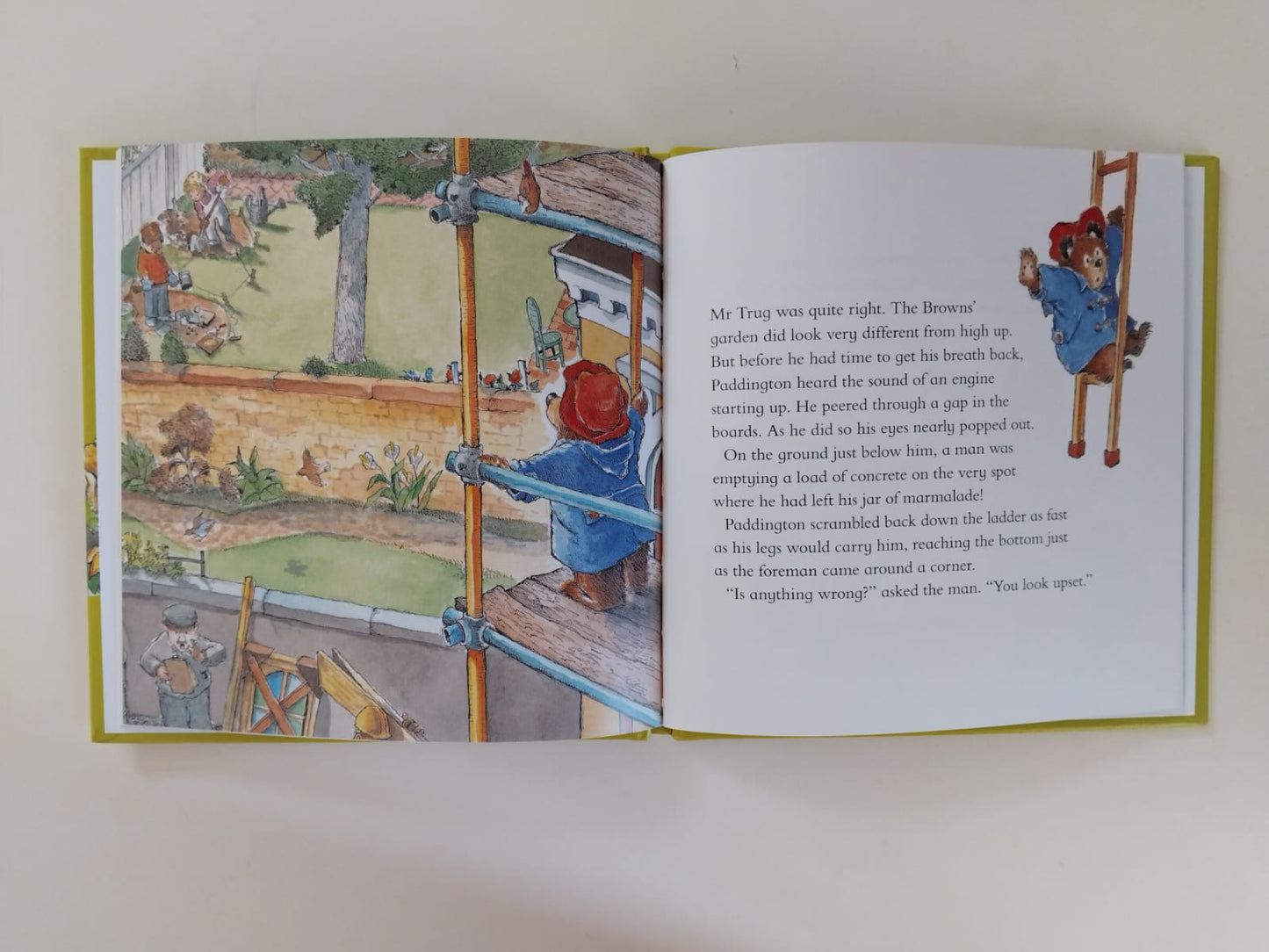 Paddington in the Garden