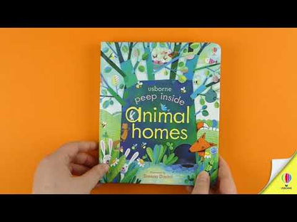 Peep inside animal homes