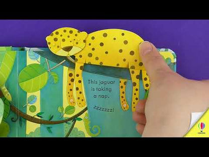 Peep inside the Jungle