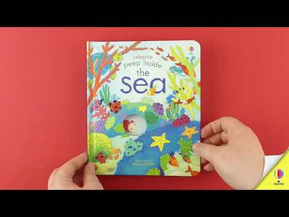 Peep inside the Sea