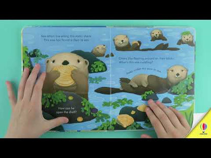 Peep inside the seashore